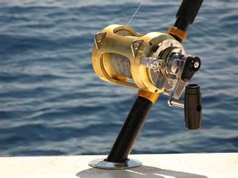 DEEP SEA FISHING REELS: Do You Really Need It?