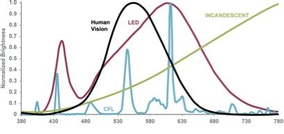 Spectrum of CFL & LED