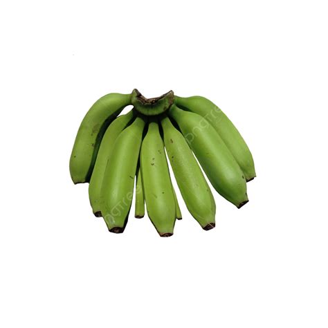 Gambar Pisang Hijau Dari Indonesia, Pisang Hijau Gua, Pisang, Buah PNG Transparan Clipart dan ...