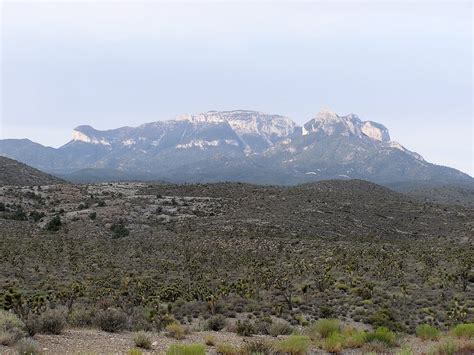 Spring Mountain National Recreation Area - Hiking - Northwest - Las ...