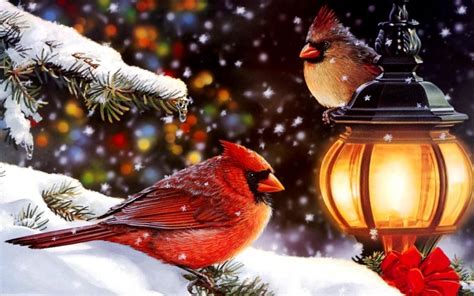 Christmas Cardinals Desktop Wallpapers - 4k, HD Christmas Cardinals ...