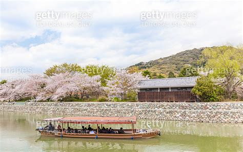 Pleasure boat in Uji River 이미지 (1139155545) - 게티이미지뱅크