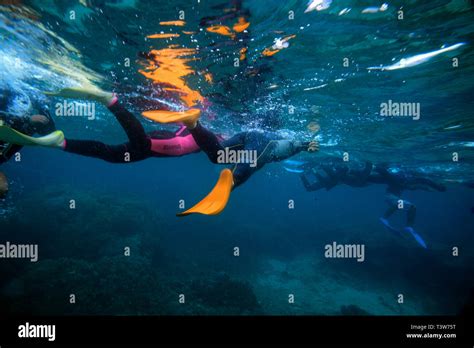 Snorkeling in Ishigaki, Okinawa Prefecture, Japan Stock Photo - Alamy