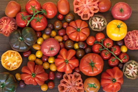 The Complete Guide To Every Type Of Tomato | Nature Fresh Farms