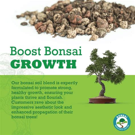 Bonsai Soil | Bonsai Tree Resource Center | Bonsai Tree Care Tips ...