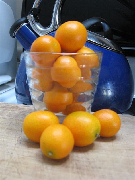 Riffin' in the Kitchen: Kumquat: The Inside-Out Citrus (...that's not necessarily citrus)