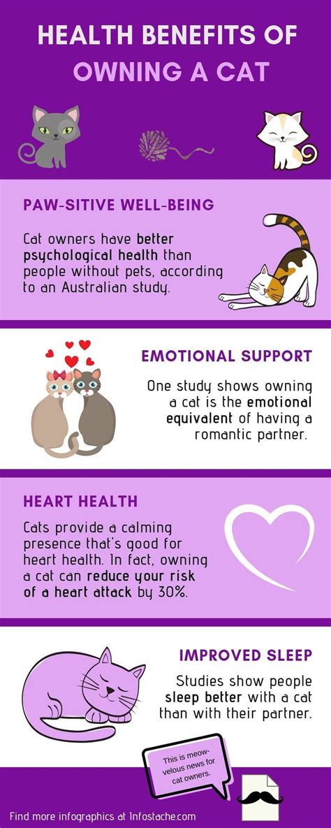 4 Health Benefits of Owning a Cat [Infographic] | Cat infographic, Owning a cat, Cat facts