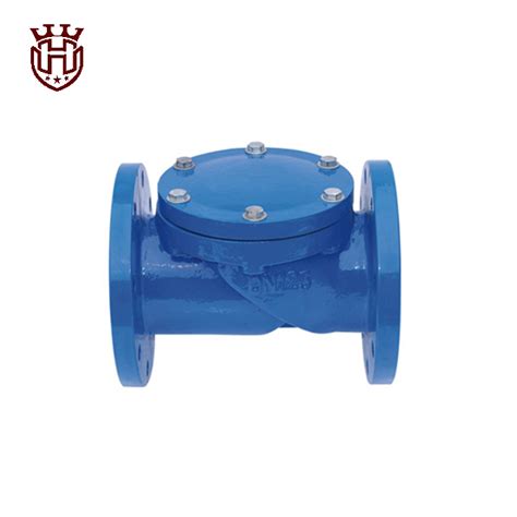 Rubber Flap Check Valve | Rubber, Valve, Iron body