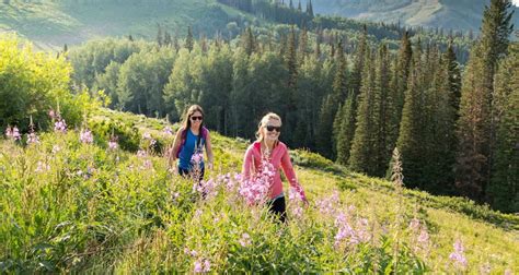 Park City Hiking Trails | Utah.com | Park city, Hiking trails, Park