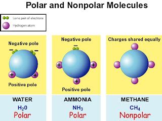 Chemistry Time!: Polar Molecules