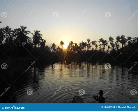 Swimming pool stock photo. Image of water, pool, tree - 144880554