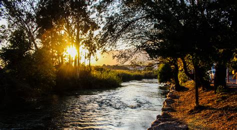 River With Tress during Sunny Clear Sky · Free Stock Photo