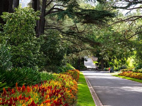 Gardens of Melbourne Day Tour, Tour, Melbourne, Victoria, Australia