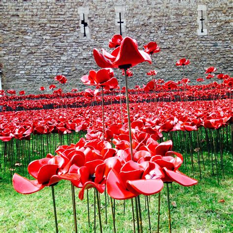 A field of poppies ... Remembrance Sunday, Poppy Field, Poppies, Remember, Remembrance Day ...