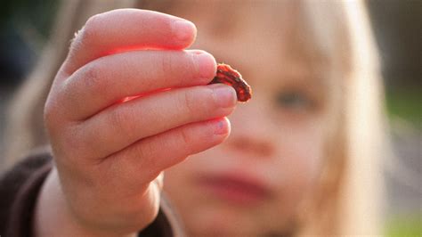 Are Raisins Good Snacks for Kids?