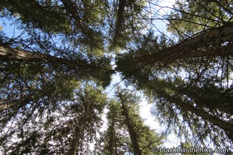 Spearfish Falls Trail - Spearfish Canyon - Black Hillls The Hike