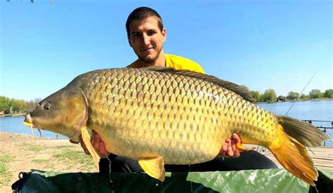 326 aprecieri, 8 comentarii - Best Big Carp Lakes In Hungary (@catchcarphungary) pe Instagram ...