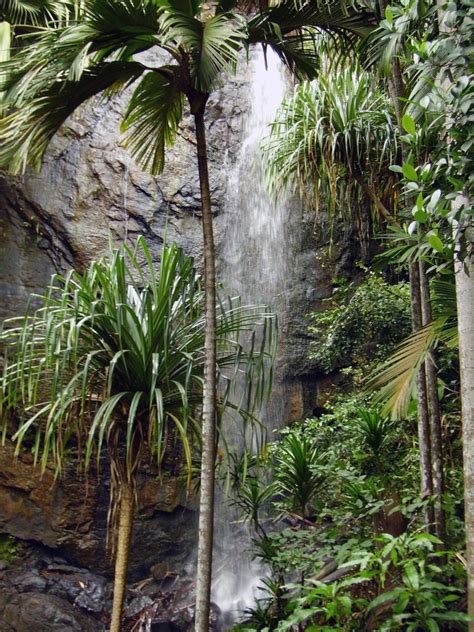 Waterfalls in Seychelles - The Cascading Beauties in the Paradise