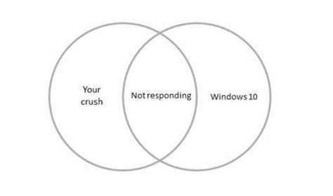 Funny Venn diagrams to inspire you | Nulab