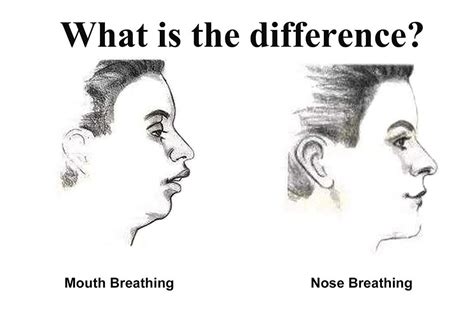 MOUTH BREATHING VS NOSE BREATHING | Patreon | Mouth breather, Mouth, Cramps relief