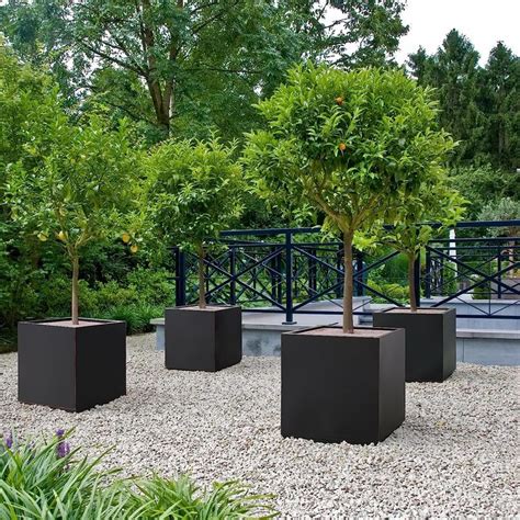 Wallowa Metallic Heavy Cube Planter Box, Large Square Planter for Trees ...