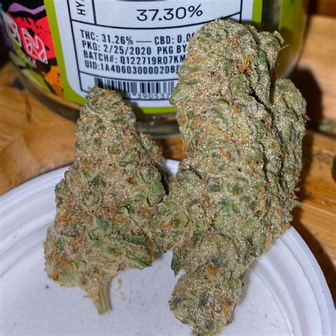 Strain Review: Kush Mintz by 1LYFE - The Highest Critic