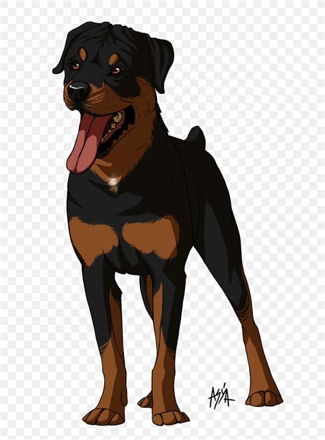 Dog Breed Rottweiler Snout Animated Cartoon, PNG, 706x1111px, Dog Breed ...