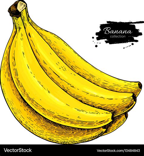 Drawing Banana Illustration - Download Illustration 2020