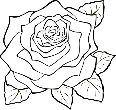 Uncoloured Rose clip art | Clipart Panda - Free Clipart Images