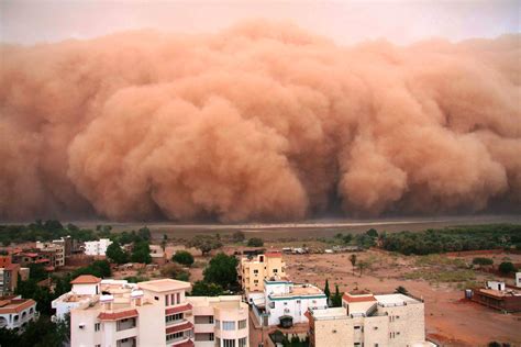 tempête de sable | information