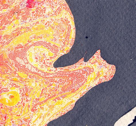 Marbling on Behance