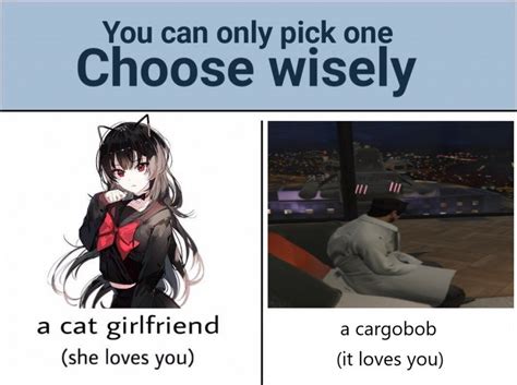 Choose Wisely A Cat Girlfriend Meme Template