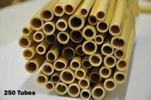 MASON BEE NESTING TUBES (250 Phragmite Nesting Tubes 6"-6.5 ...