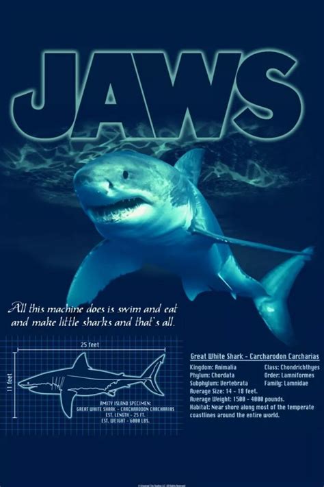 'Great White Shark' Poster by JAWS movie | Displate in 2023 | Jaws movie, Shark, Surf poster
