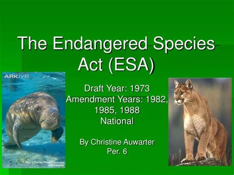 PPT - The Endangered Species Act (ESA) PowerPoint Presentation, free download - ID:1275730