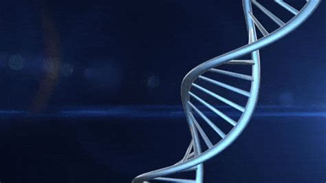 Dna GIF - Find & Share on GIPHY