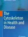 Roles of the cytoskeleton in human diseases | Molecular Biology Reports