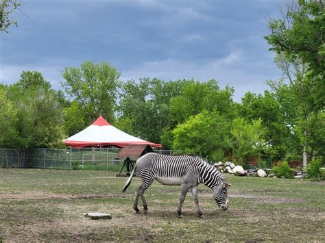 Top 5 things to see and do in Edmonton Valley Zoo