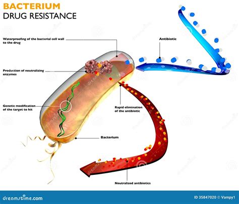 Resistenza Dei Batteri Agli Antibiotici Illustrazione di Stock - Illustrazione di abituato ...