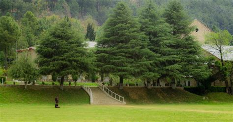 Abbottabad Public School & College - Schoolvisor