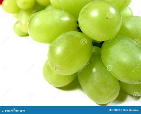 Uvas Verdes Macras Fotografía de archivo - Imagen: 421822