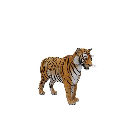 3d TIGER isolated 21107685 PNG