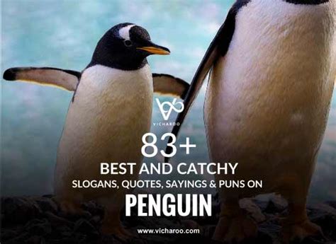 83+ Best Penguin Day Slogans, Quotes, Puns & Sayings – Vicharoo