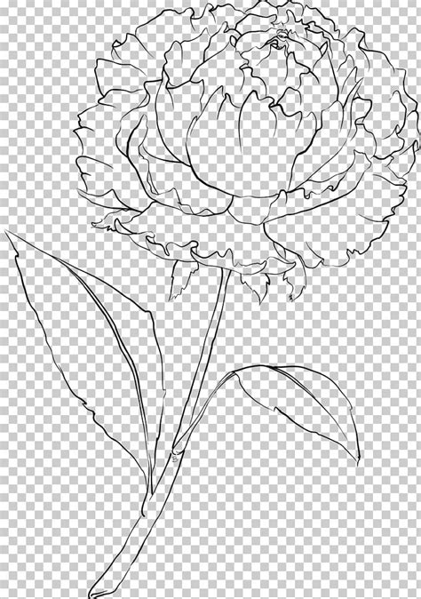 Carnation Drawing Flower Line Art PNG, Clipart, Artificial Flower, Artwork, Birth Flower, Black ...