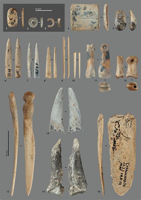 Ornaments and bone tools from the Upper Palaeolithic layers of... | Download Scientific Diagram