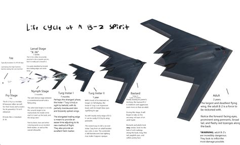 B-2 Spirit Life Cycle : r/worldbuilding