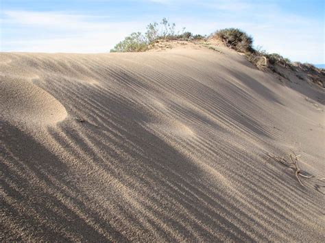 Free picture: scenic, paradise, beach, sand, dune