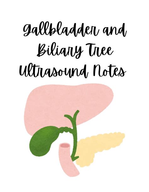 Gallbladder and Biliary Tree Ultrasound DOWNLOAD Notes PDF Ultrasound School for Ultrasound ...