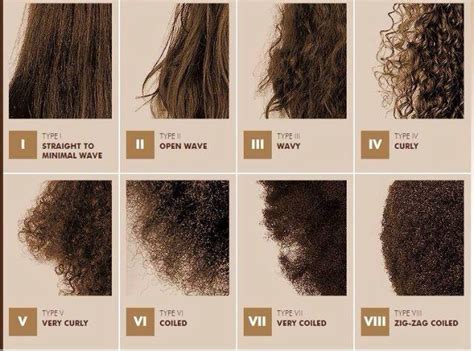 A guide to different hair types and color! - GirlsAskGuys