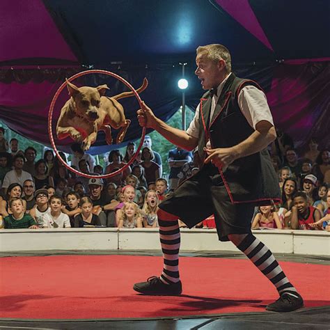 Midnight Circus: Rescue Dogs Steal the Show · The Wildest